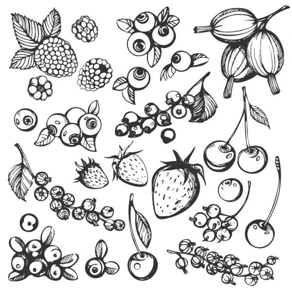 Kolorowanka pyszna aronia wśród innych owoców